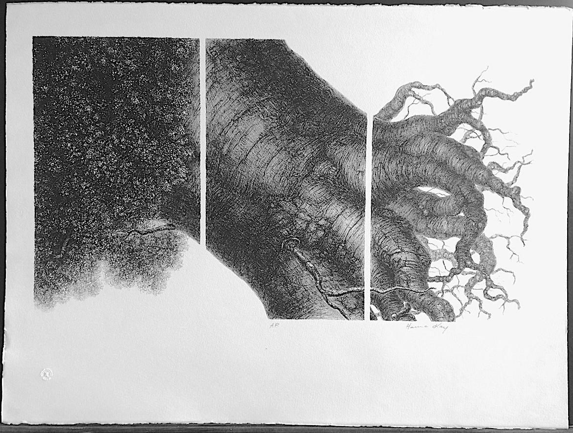 ÁRBOL PODEROSO I  Litografía firmada Stone, Retrato de árbol, Raíces, Dibujo surrealista en venta 3