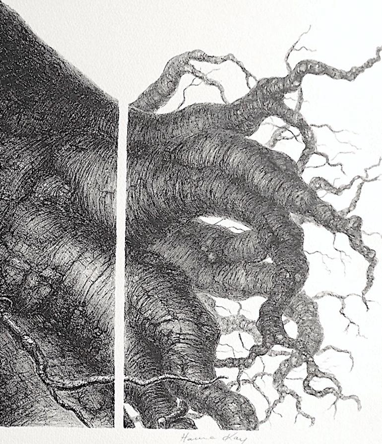 ÁRBOL MAGNÍFICO I es una litografía original de edición limitada (no es una reproducción fotográfica ni una impresión digital) impresa en tinta negra a partir de una piedra litográfica dibujada a mano mediante técnicas litográficas manuales