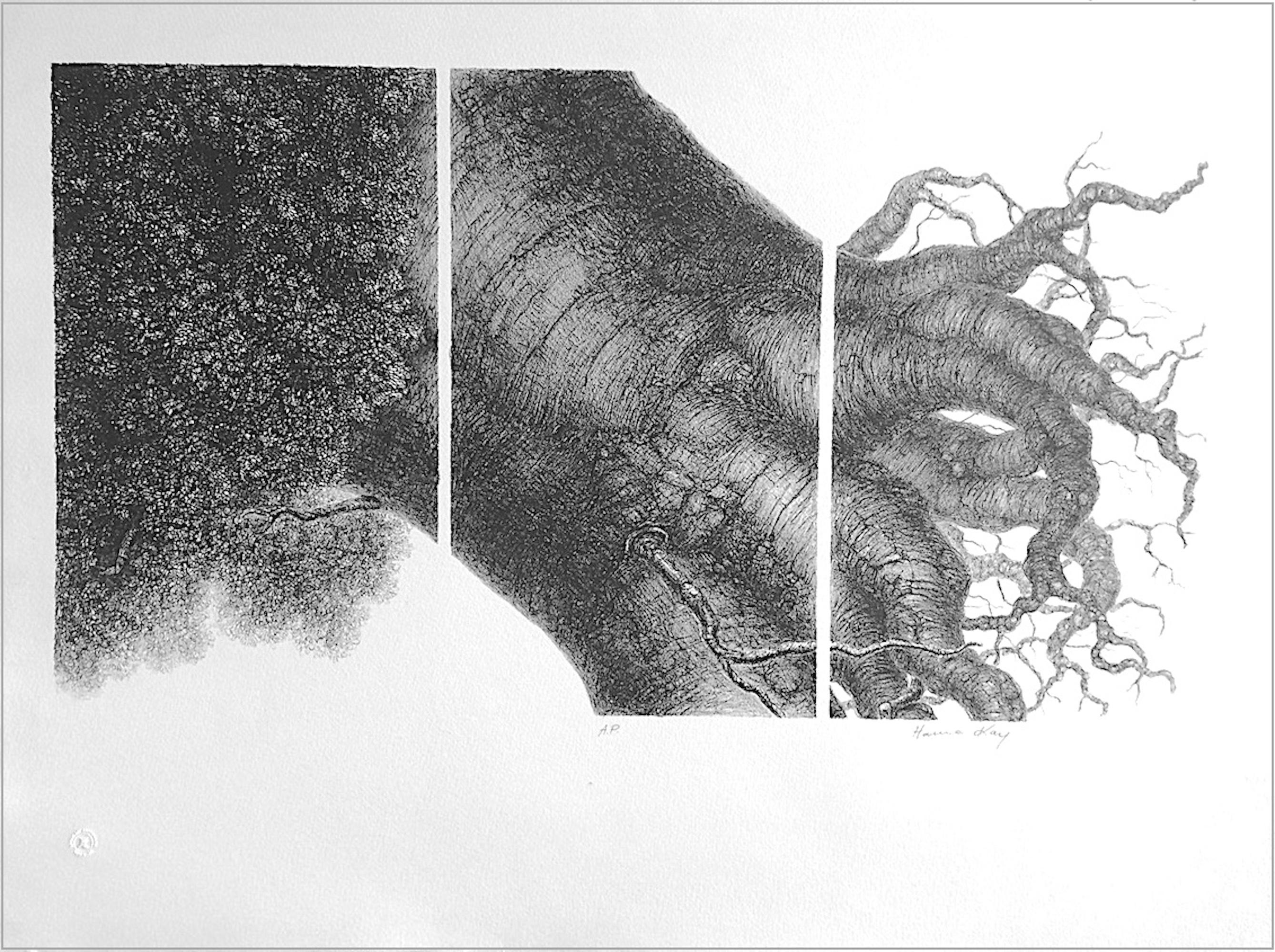 MIGHTY TREE I  Signed Stone Lithograph, Tree Portrait, Roots, Surreal Drawing