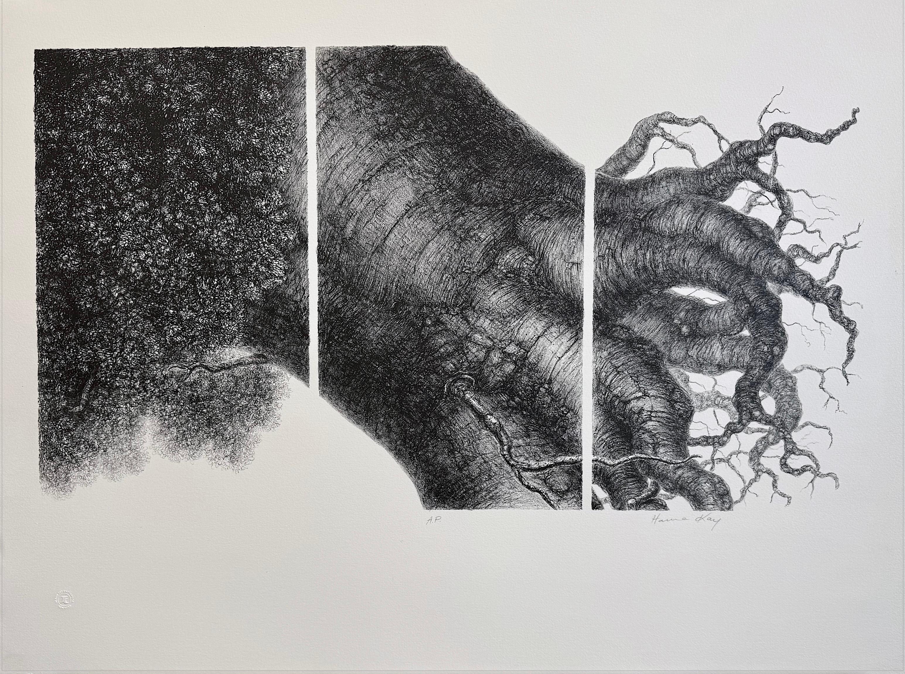 MÄCHTIGER BALKEN I  Signierte Stone-Lithografie, Baumporträt, Roots, surreale Zeichnung