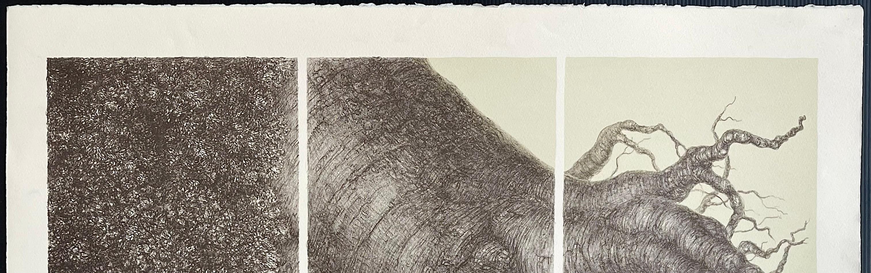 Árbol poderoso II es una litografía original de edición limitada (no una reproducción fotográfica ni una impresión digital) realizada con técnicas tradicionales de litografía a mano sobre papel de archivo Arches de color crema, 100% libre de ácido.