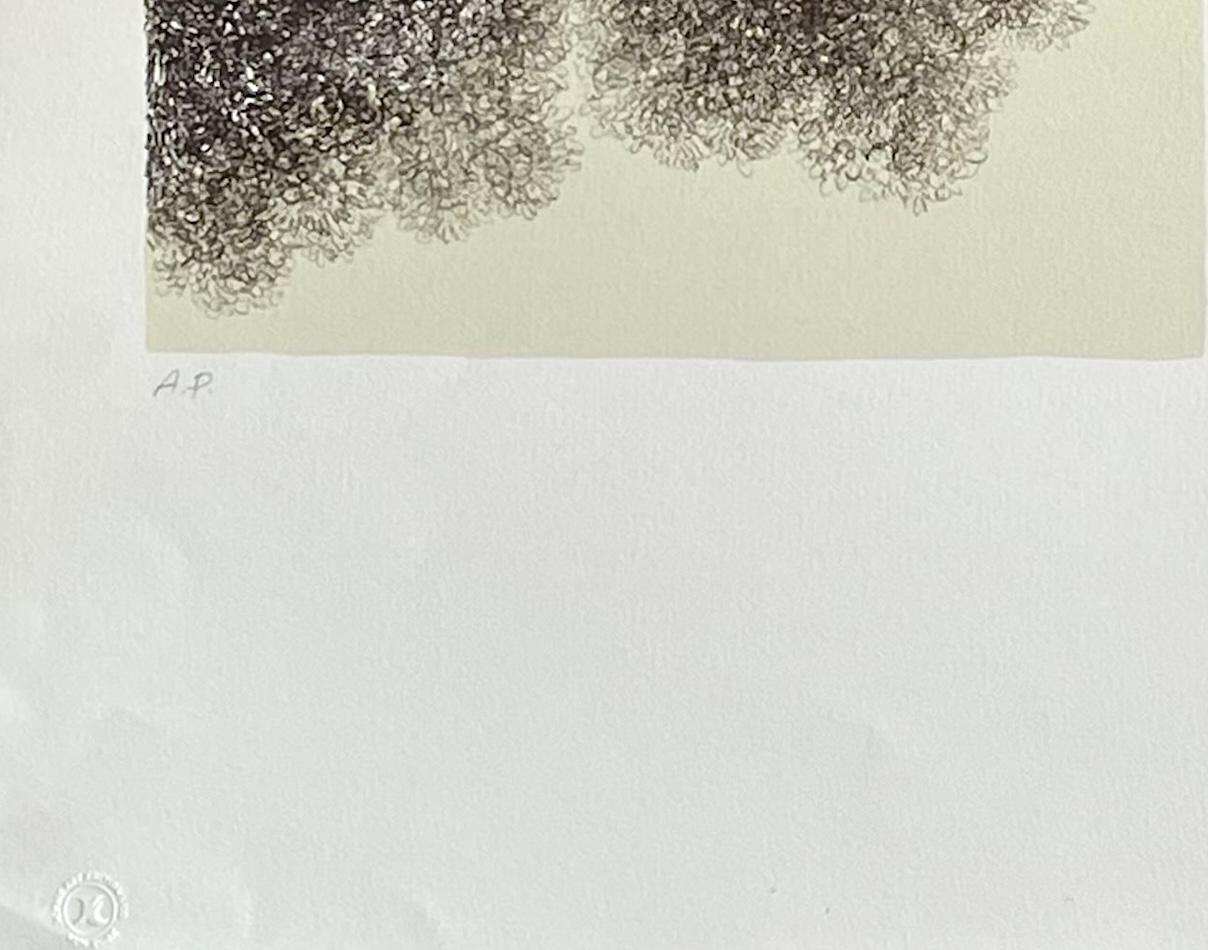 MIGHTY TREE II Litografía firmada, Dibujo realista de un árbol, estilo surrealista en venta 2
