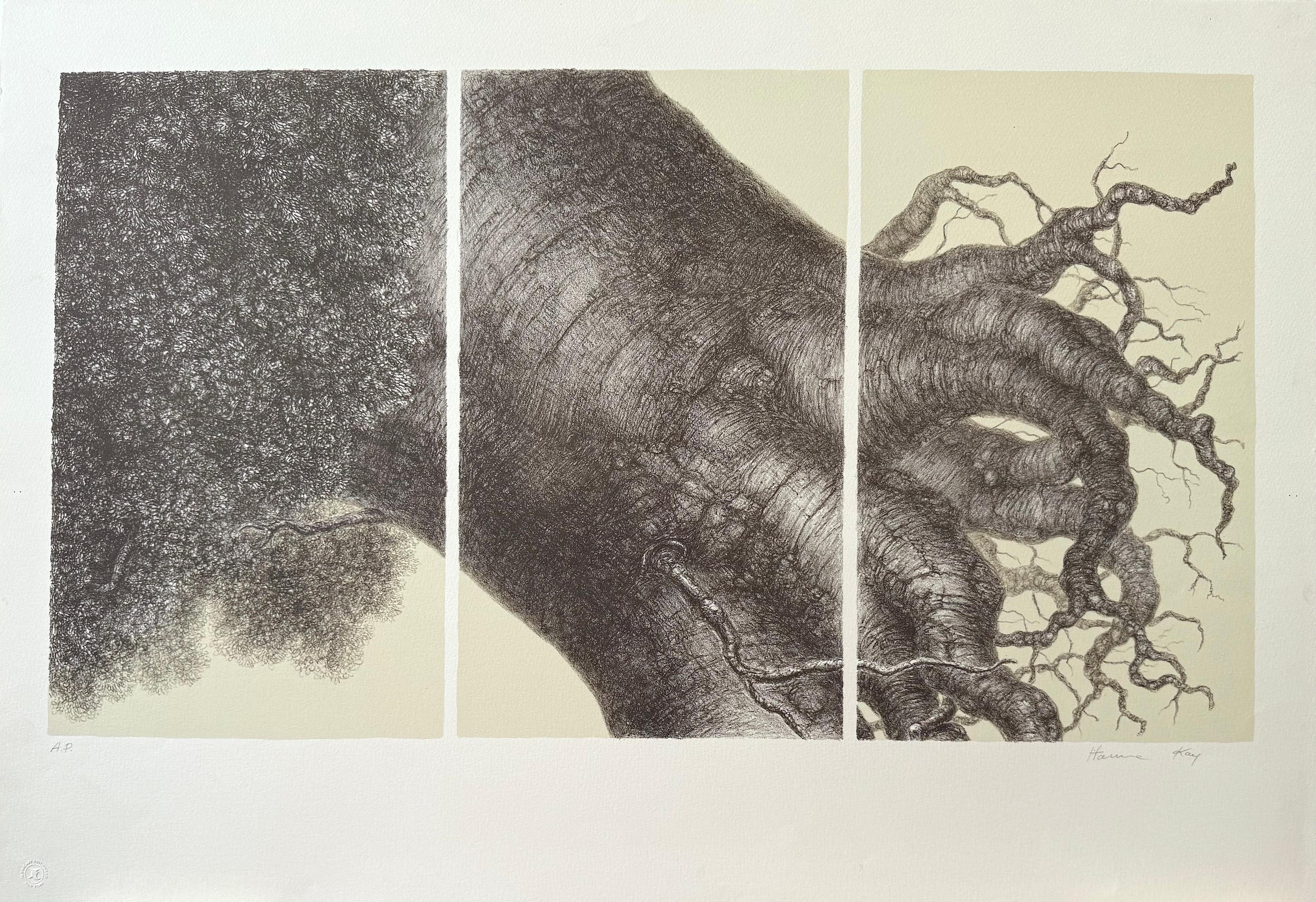 MIGHTY TREE II Signierte Lithographie, realistische Baumzeichnung, surrealistischer Stil, Surrealistischer Stil