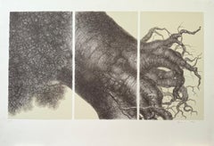 MIGHTY TREE II Signierte Lithographie, realistische Baumzeichnung, surrealistischer Stil, Surrealistischer Stil