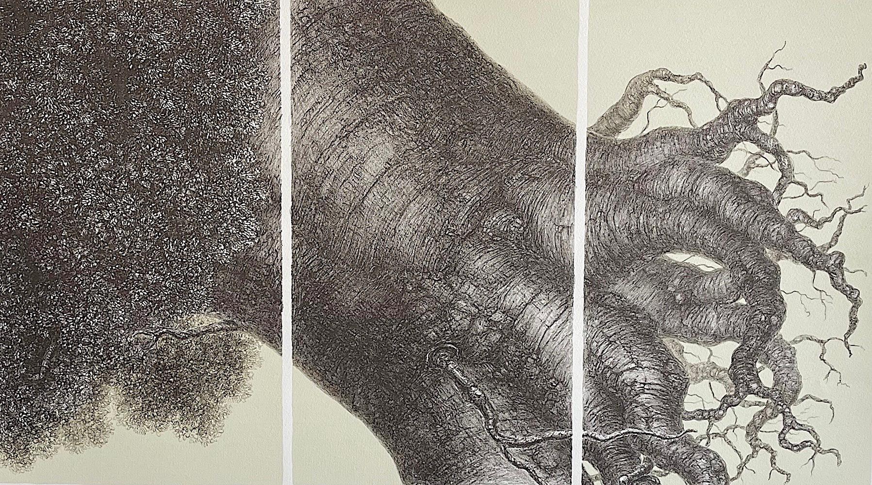 MIGHTY TREE II Signierte Lithographie, realistische Baumzeichnung, surrealistischer Stil – Print von Hanna Kay