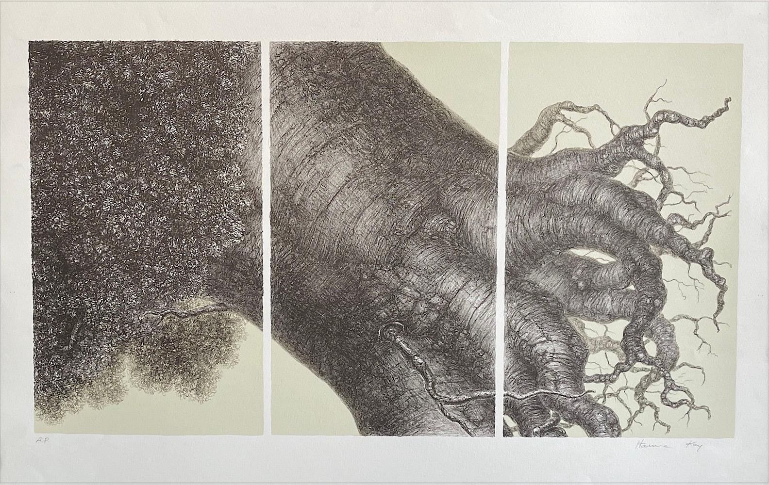 Hanna Kay Portrait Print – MIGHTY TREE II Signierte Lithographie, realistische Baumzeichnung, surrealistischer Stil