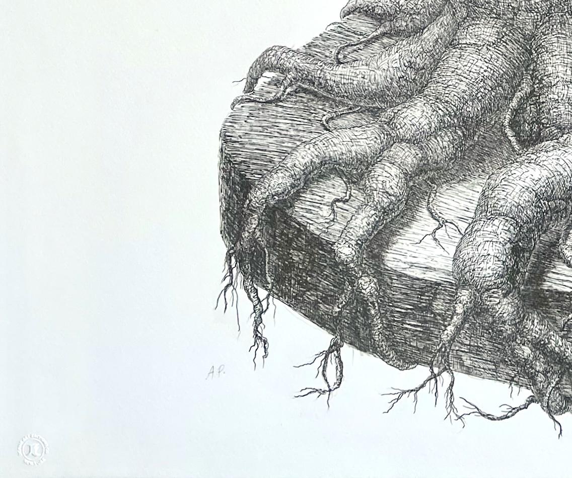 EL ÁRBOL DE LOS SUPERVIVIENTES es una litografía original, dibujada a mano y de edición limitada (no es una reproducción fotográfica ni una impresión digital), impresa con tinta gris caqui mediante técnicas tradicionales de litografía a mano sobre