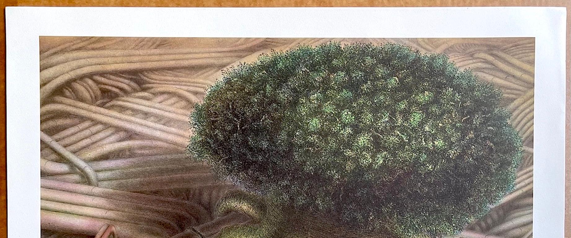 RAÍCES DE ÁRBOL I, Litografía dibujada a mano, Paisaje de fantasía, Árbol surrealista, Tubería en venta 2
