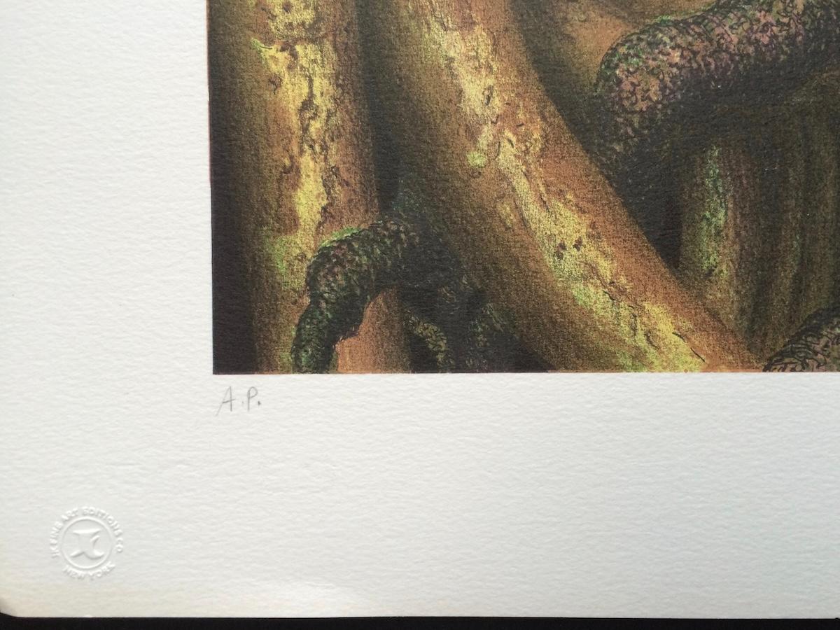 TREE ROOTS II è una litografia originale disegnata a mano e in edizione limitata, stampata con tecniche tradizionali di litografia a mano su carta Arches d'archivio 100% priva di acidi. TREE ROOTS II è un'ottima impressione che presenta un paesaggio
