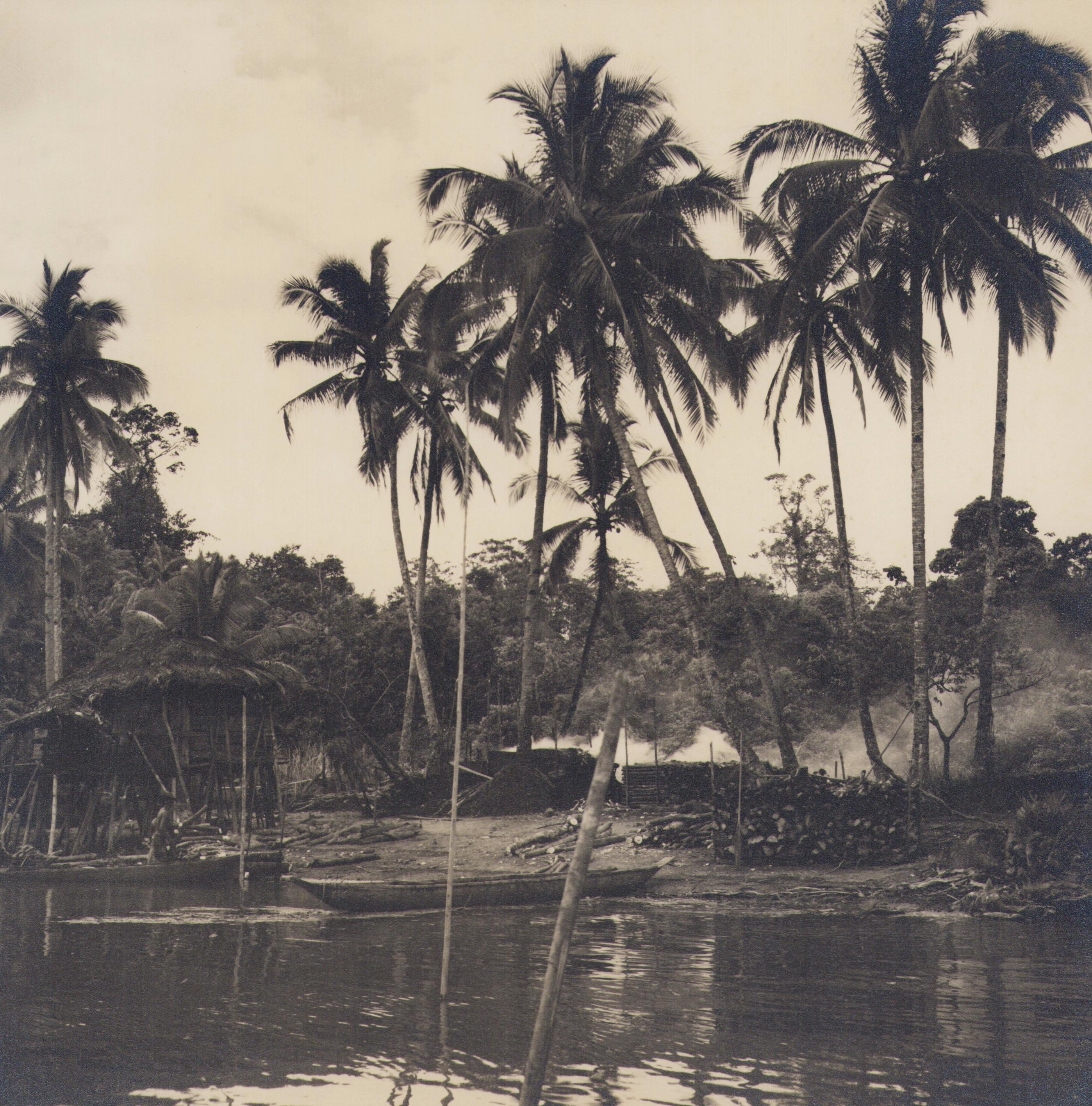 Portrait Photograph de Hanna Seidel - Colombia, Palmeras, Fotografía en blanco y negro, Años 60, 24 .4x 24, 2 cm