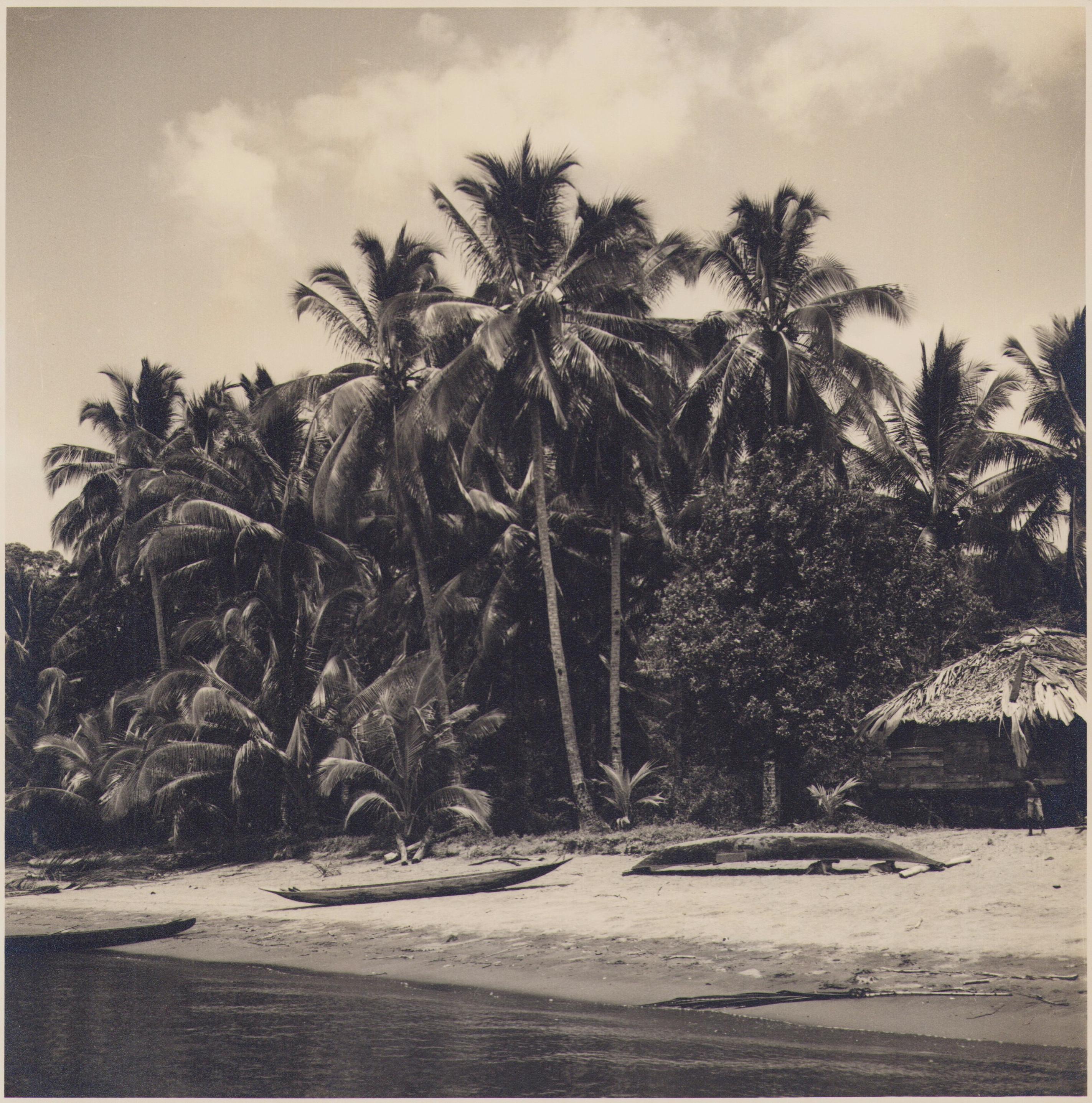 Hanna Seidel Portrait Photograph - Colombia, Palmtrees, Beach, Black and White Photography, 1960s, 24, 4 x 24, 1 cm