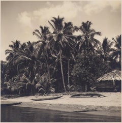 Colombie, palmiers, plage, photographie en noir et blanc, années 1960, 24,4 x 24,1 cm
