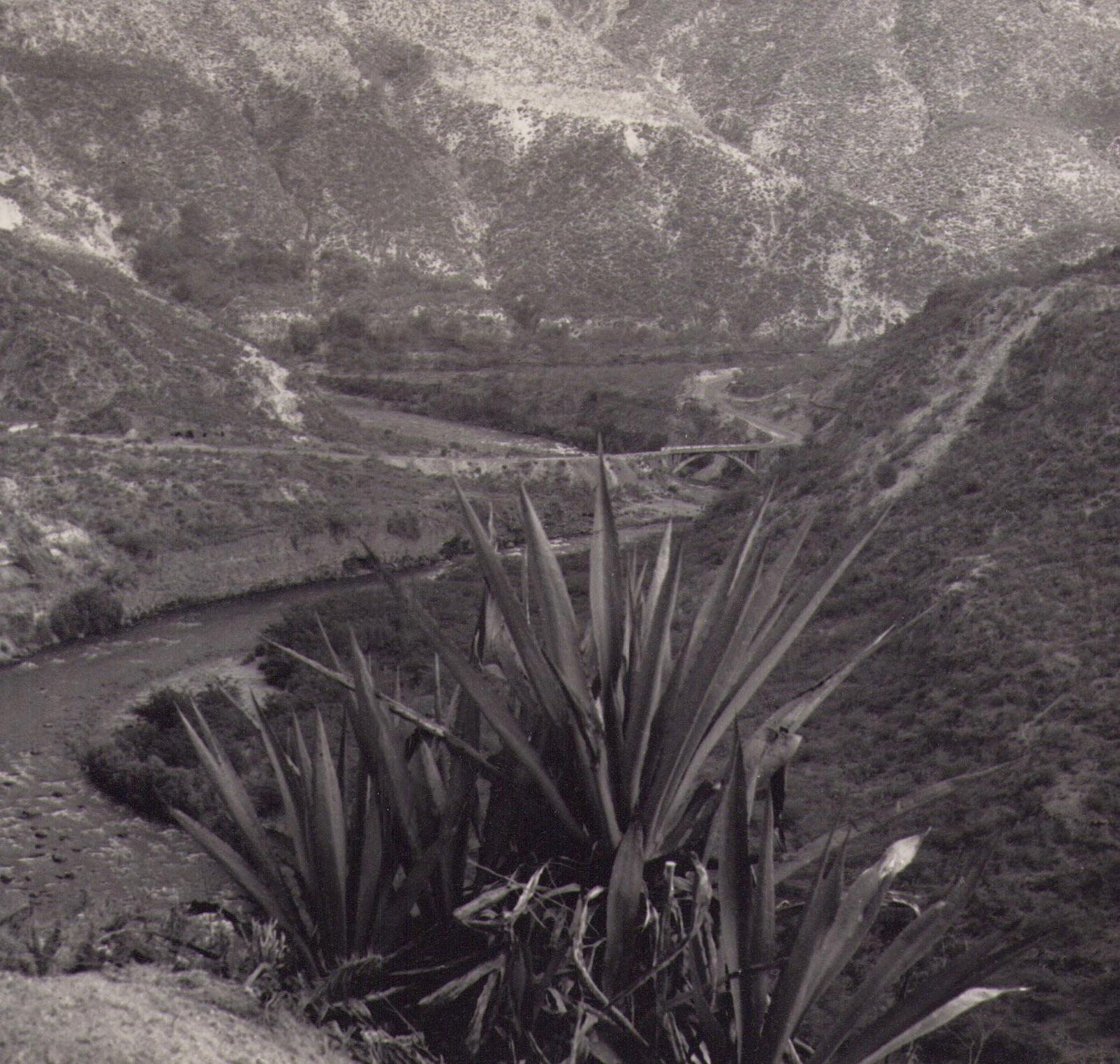 Ecuador, Landscape, Black and White Photography, 1960s, 21, 2 X 17, 2 cm - Gray Portrait Photograph by Hanna Seidel