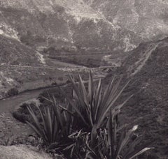 Ecuador, Paesaggio, Fotografia in bianco e nero, 1960, 21, 2 X 17, 2 cm