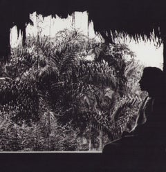 Ecuador, Nature, Jungle, Black and White Photography, 1960s, 23, 3 x 26, 4 cm