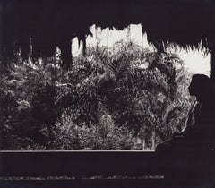 Équateur, Nature, Jungle, Photographie en noir et blanc, années 1960, 23,3 x 26,4 cm