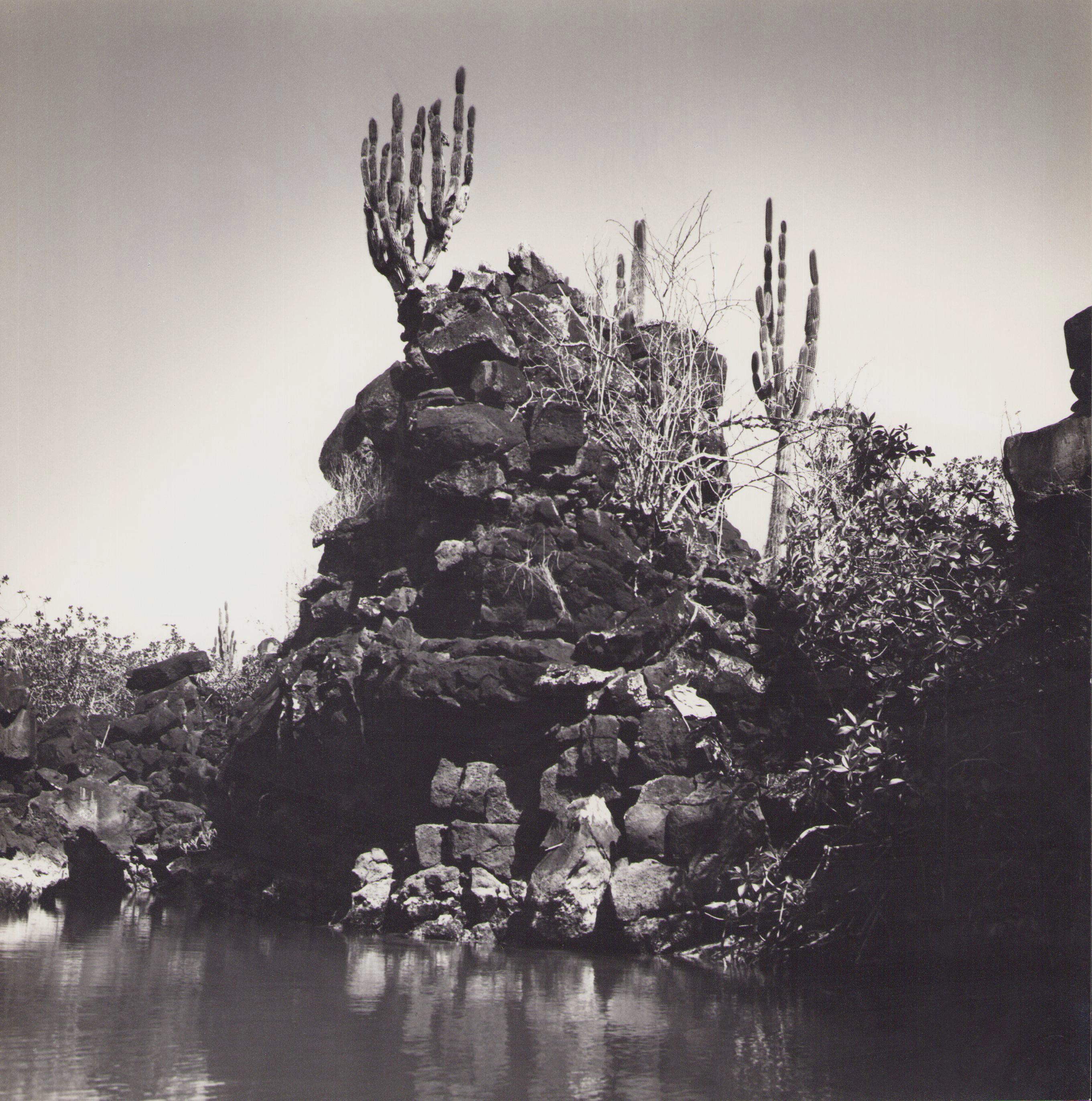 Black and White Photograph de Hanna Seidel - Galápagos, Costa, Fotografía en blanco y negro, Años 60, 23, 1 x 23, 2 cm