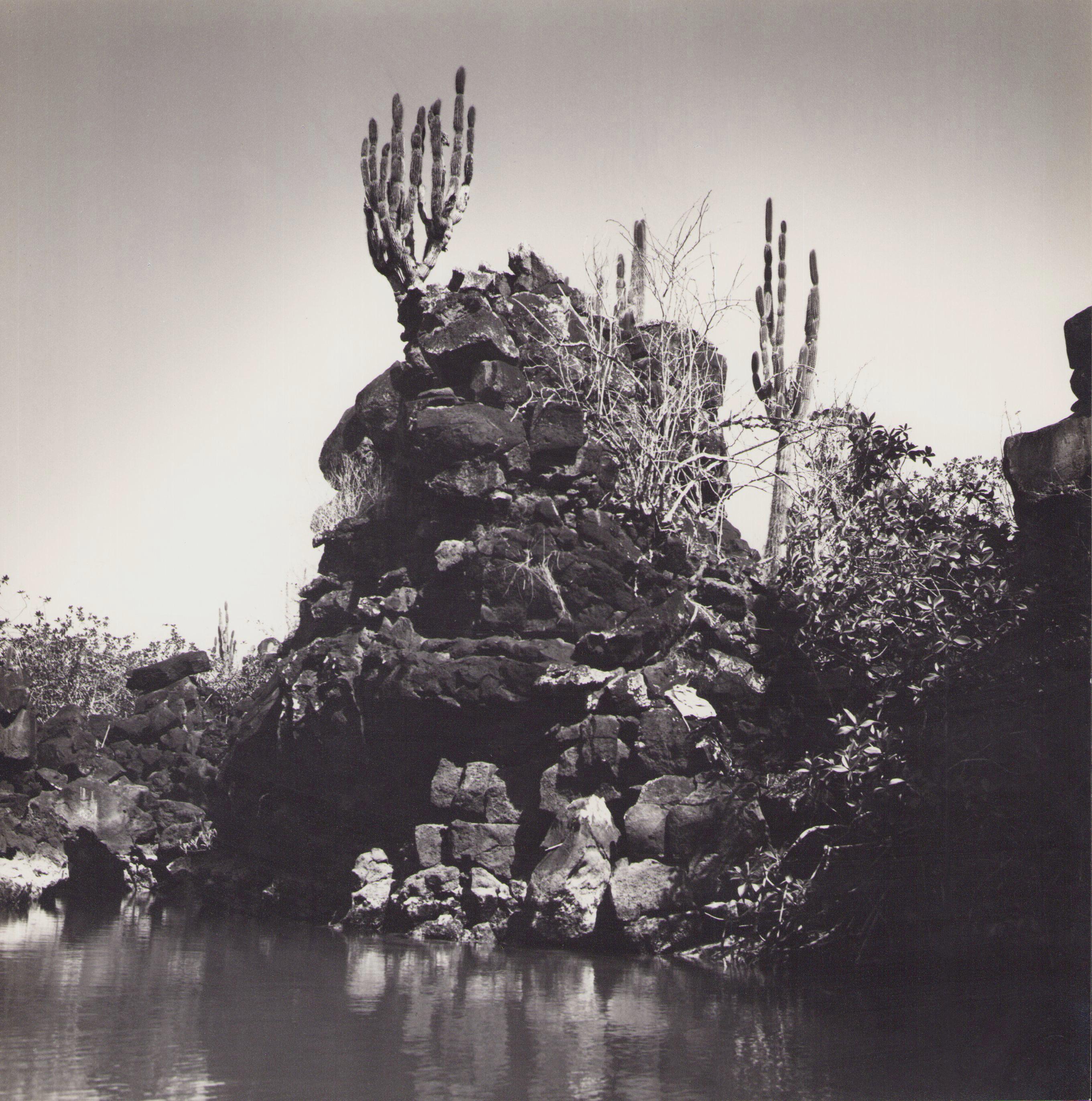 Hanna Seidel Portrait Photograph - Galápagos, Coast, Black and White Photography, 1960s, 23, 1 x 23, 2 cm