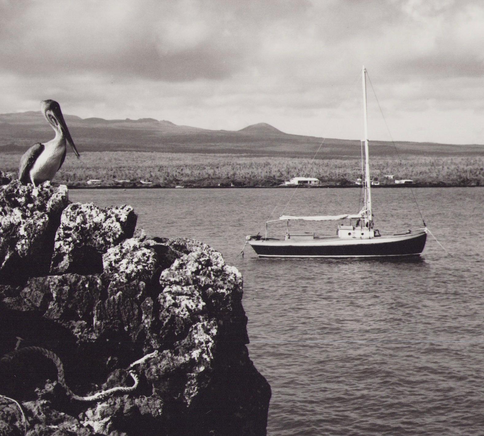 Galápagos, Coast, Black and White Photography, 1960s, 23, 4 x 28, 2 cm - Gray Portrait Photograph by Hanna Seidel