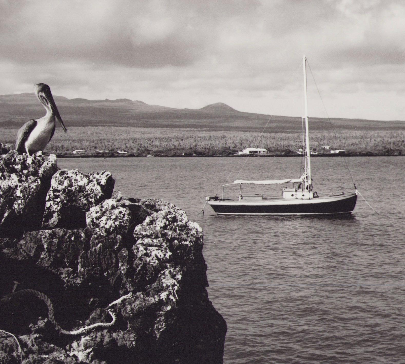 Galápagos, Küste, Schwarz-Weiß-Fotografie, 1960er Jahre, 23,4 x 28,2 cm – Photograph von Hanna Seidel