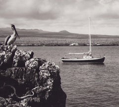 Galápagos, Coast, Black and White Photography, 1960s, 23, 4 x 28, 2 cm