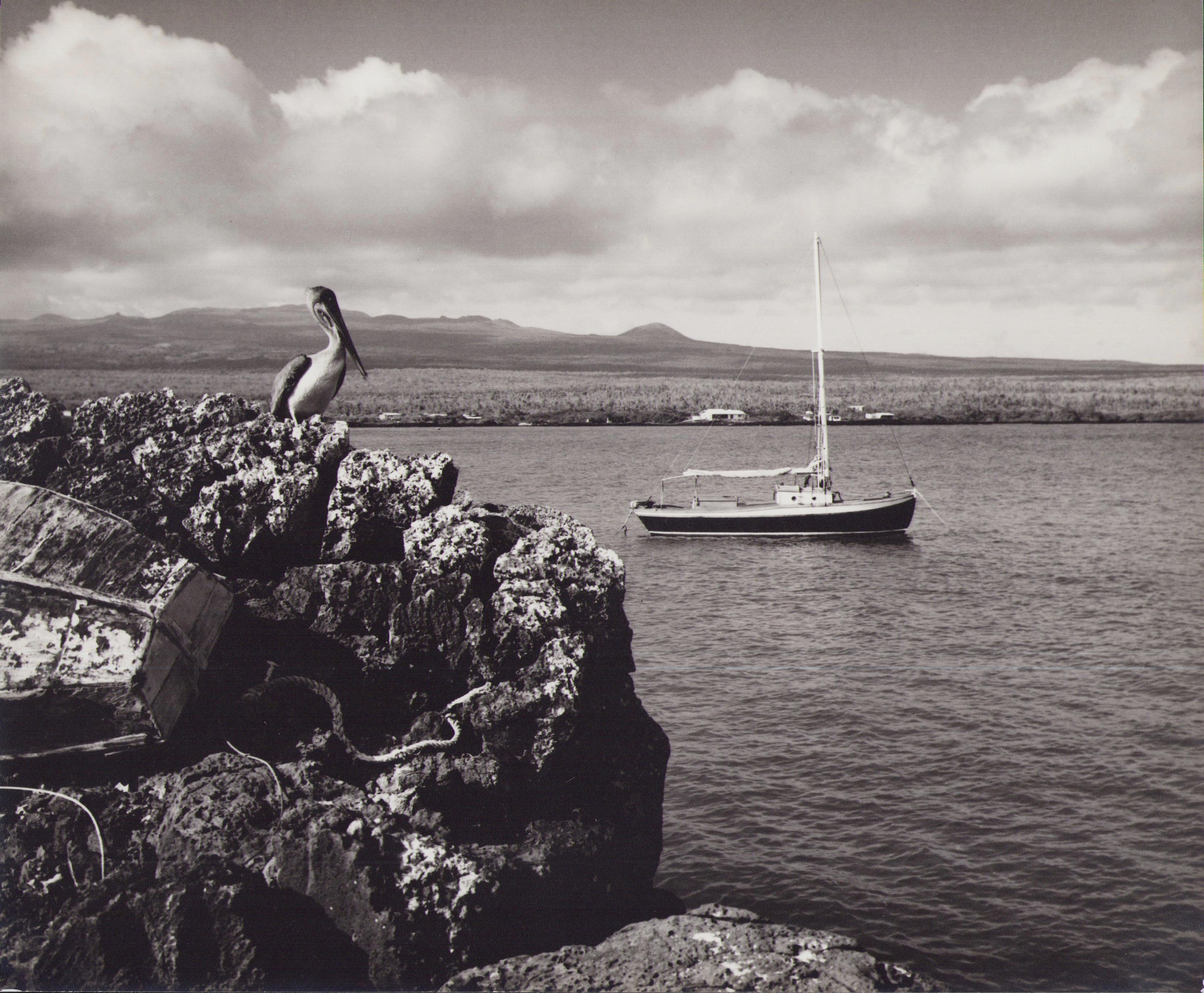 Portrait Photograph Hanna Seidel - Galápagos, côte, photographie en noir et blanc, années 1960, 23,4 x 28,2 cm
