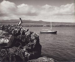 Galápagos, Küste, Schwarz-Weiß-Fotografie, 1960er Jahre, 23,4 x 28,2 cm