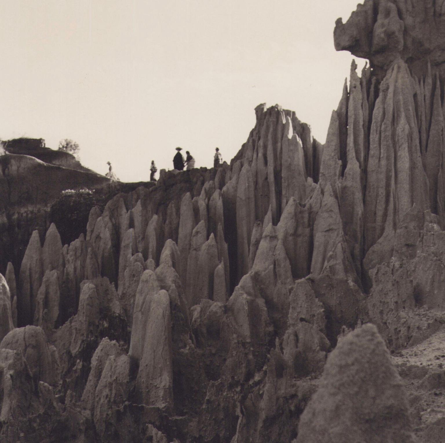 Guatemala, Nature, Black and Whit ephotography, ca. 1960s, 26, 1 x 24 cm - Photograph by Hanna Seidel