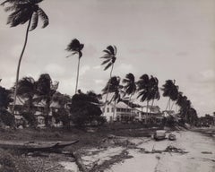 Suriname, River, Palmtrees, Black and White Photography, 1960s, 23, 5 x 29, 1 cm