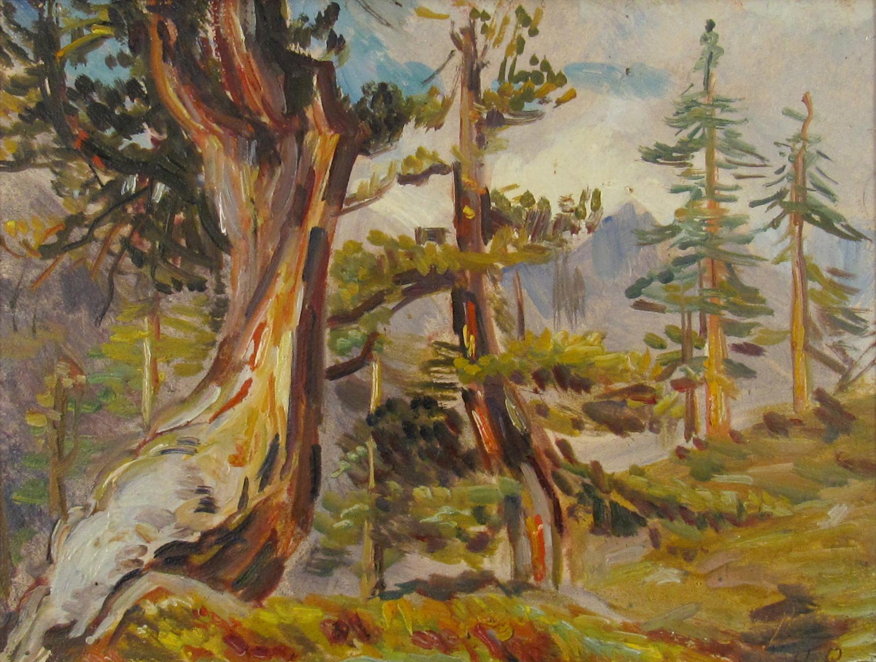 Hanni Bay (Swiss, 1885 - 1978) Alpine Forrest Switzerland Oil painting on board - Painting by Hanny Bay