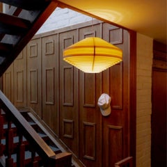 Hans-Agne Jakobsson '1003 Hans Pendant' in Pine for Vaarnii