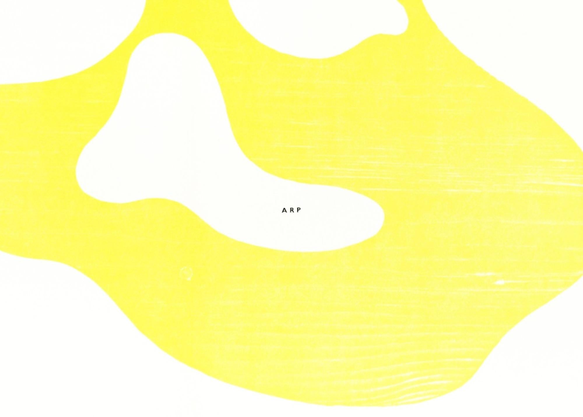 Konposition - Original Xilograph by Jean Hans Arp - 1950 1