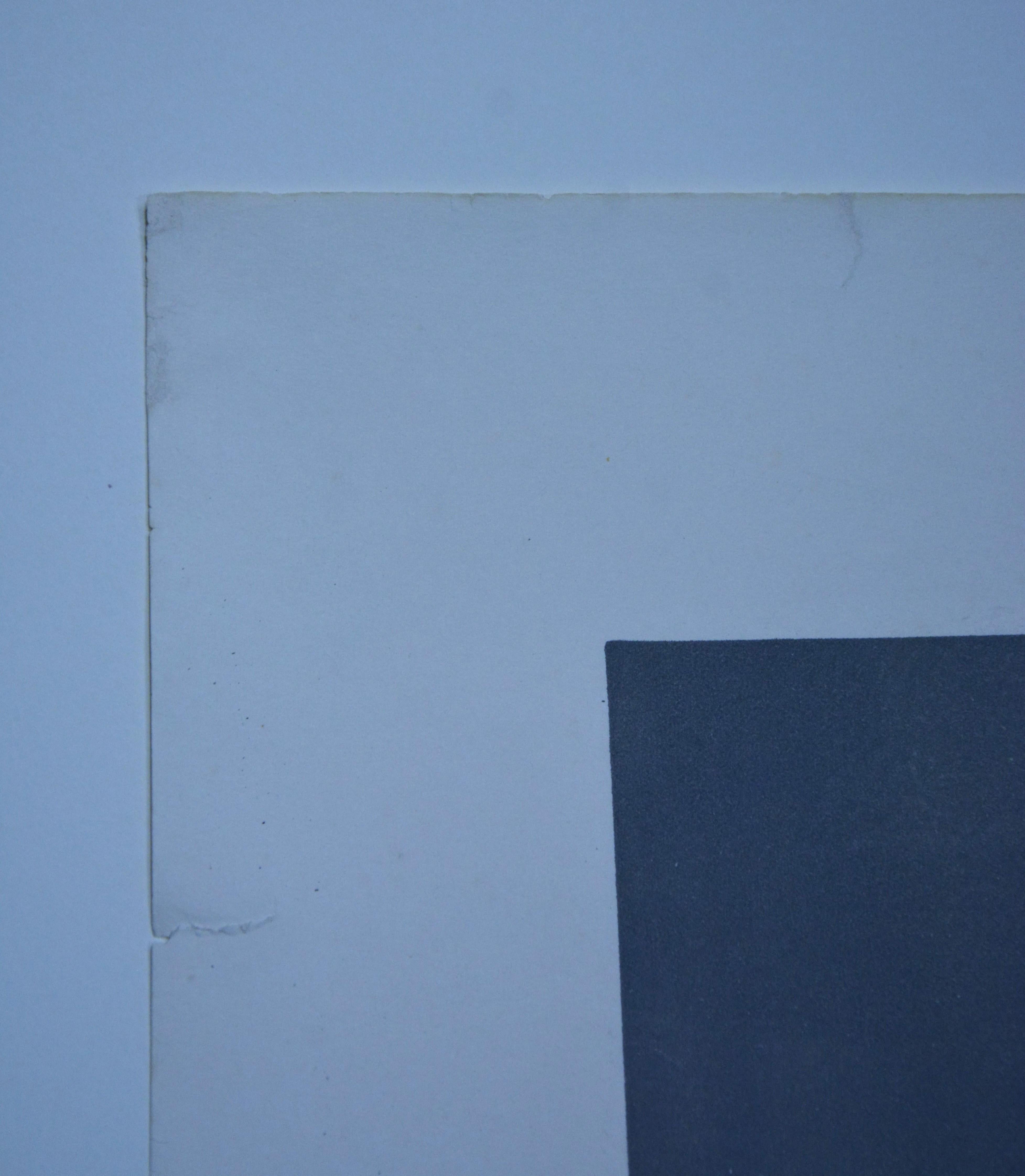 Symmetrical Shape with Flakes Arranged by Chance - Gray Abstract Print by Hans Arp