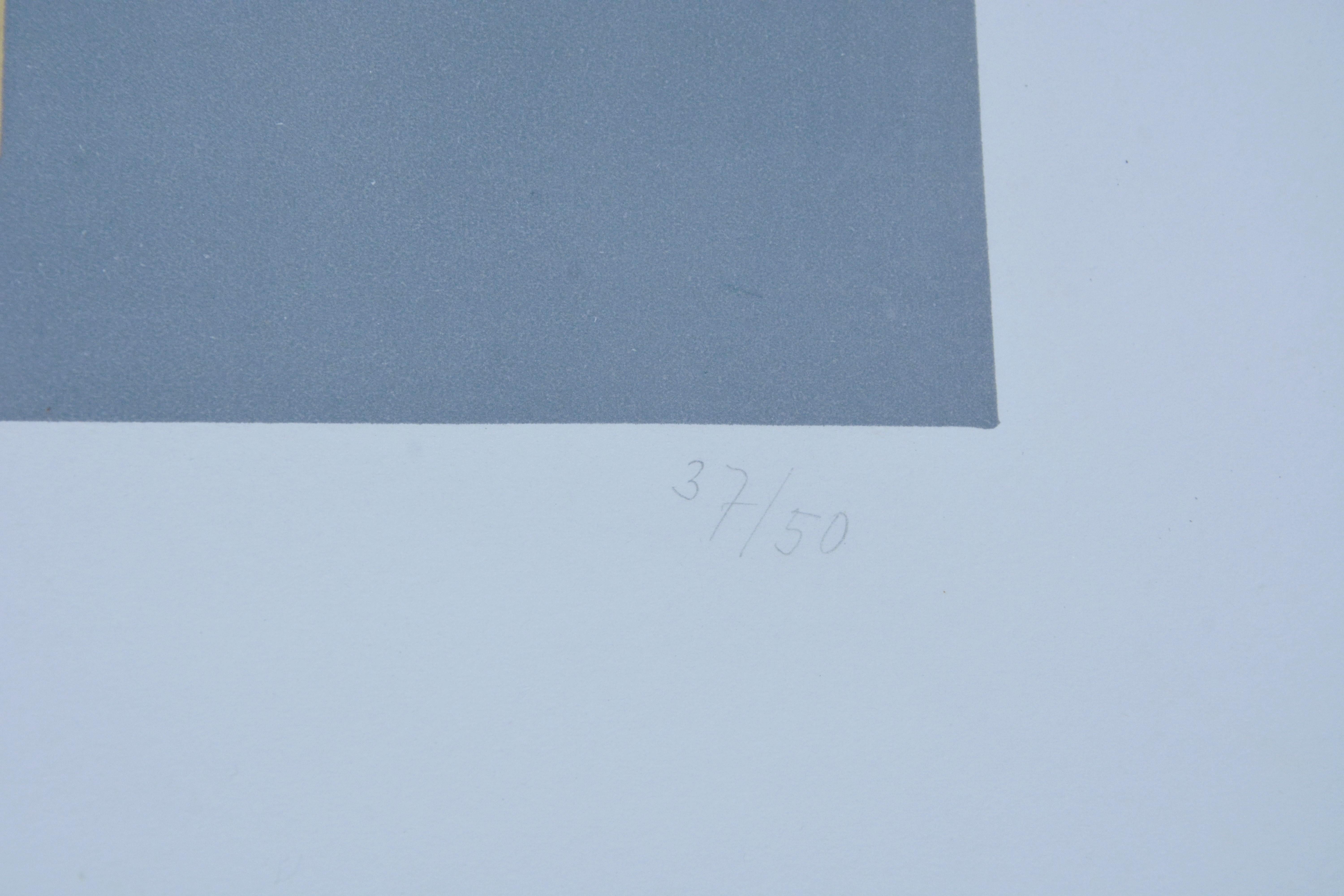 Symmetrical Shape with Flakes Arranged by Chance For Sale 2