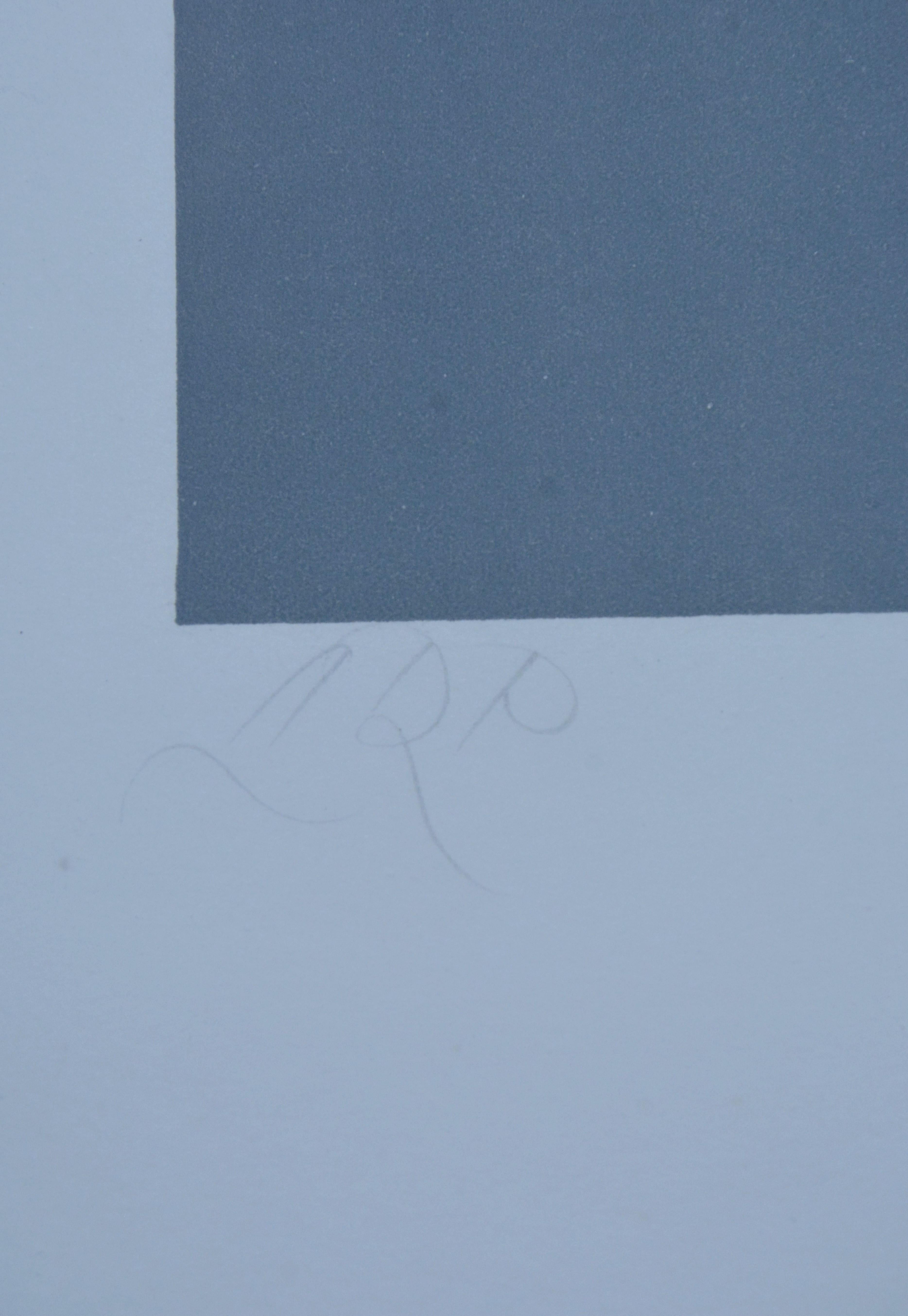 Symmetrical Shape with Flakes Arranged by Chance For Sale 3