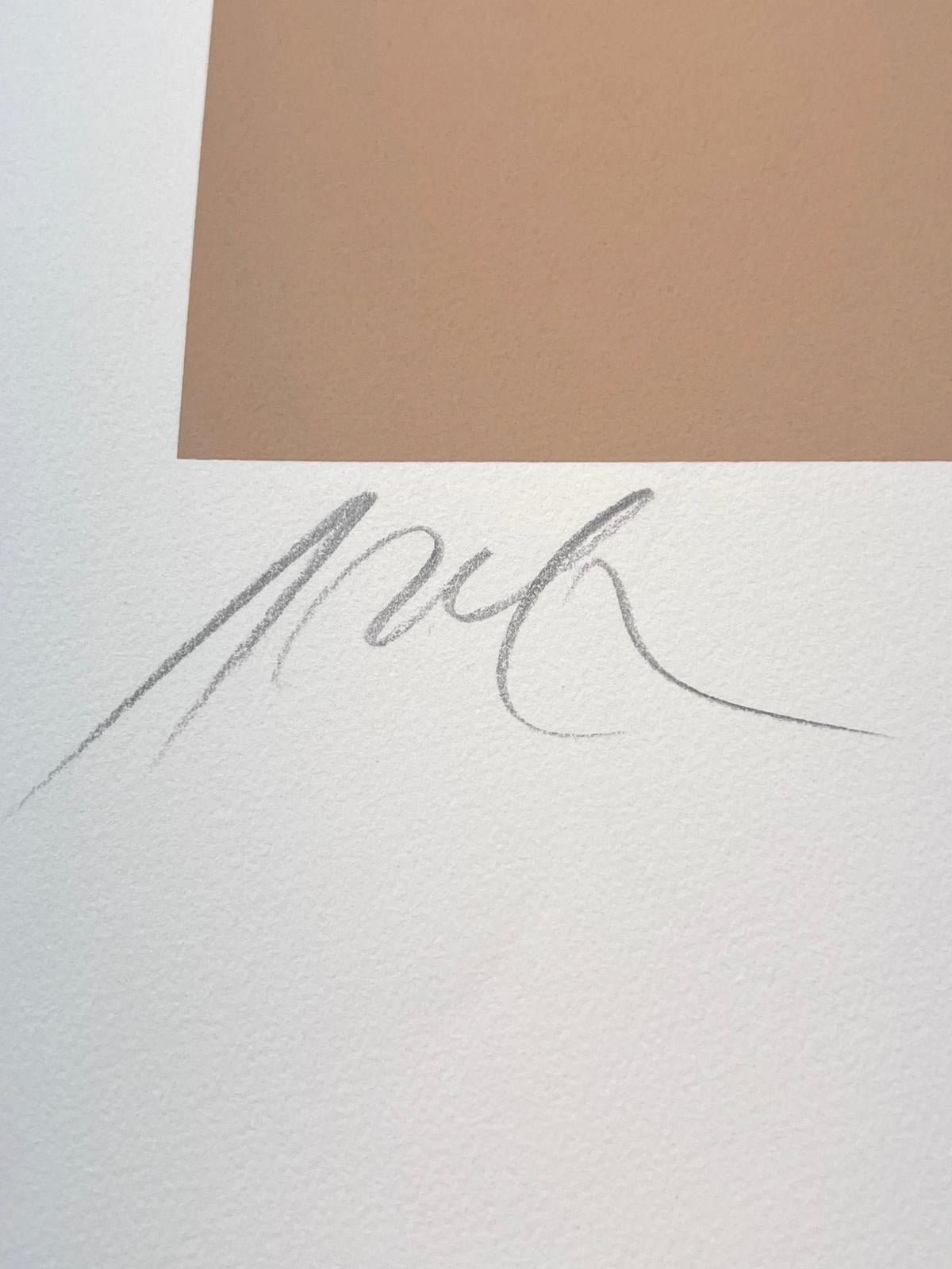 Sin título en venta 1