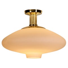 Chandeliers and Pendants