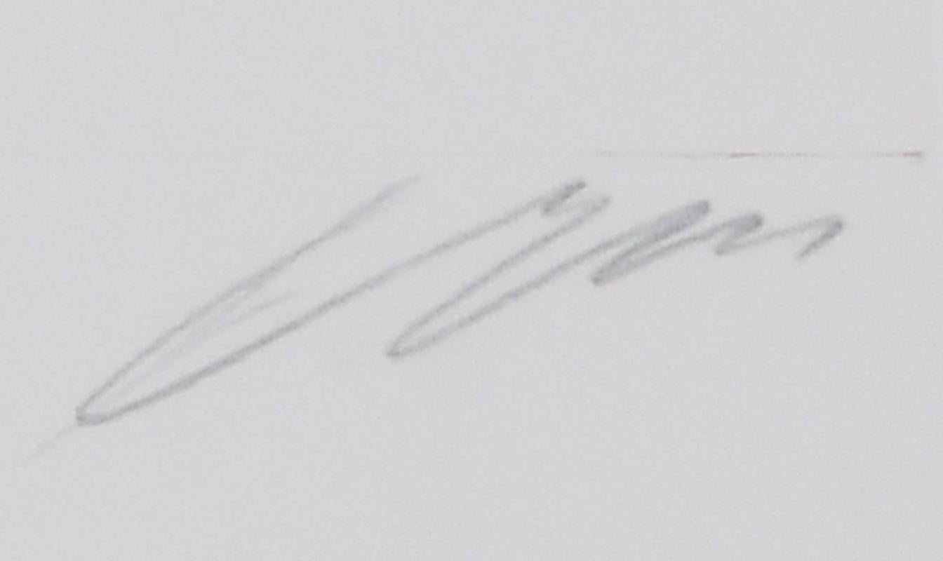 unbetitelt im Angebot 1