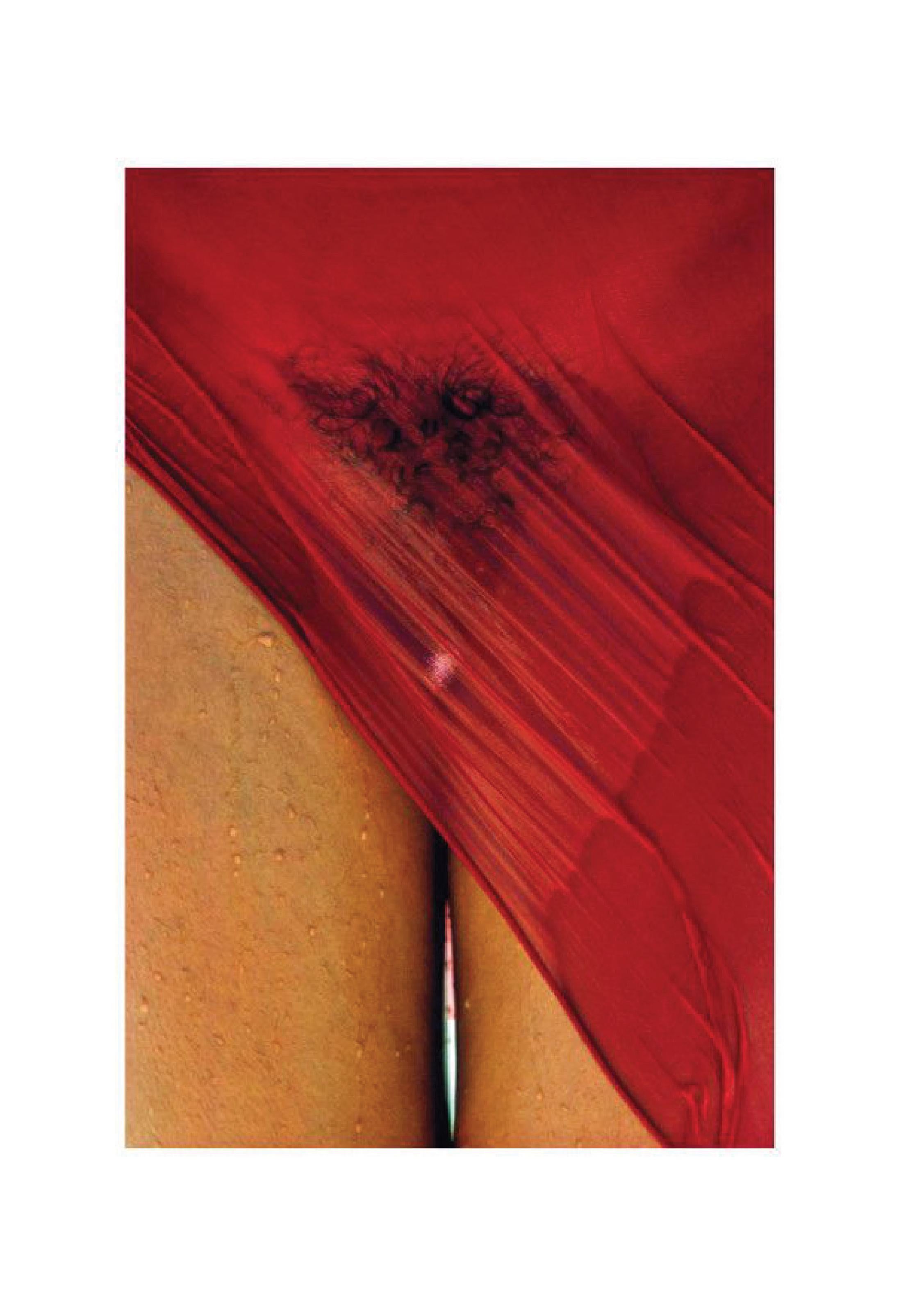 Hans Feurer Curated Set of  11 Dye Transfer Prints 3