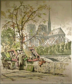 Les Quais con Notre Dame de Paris