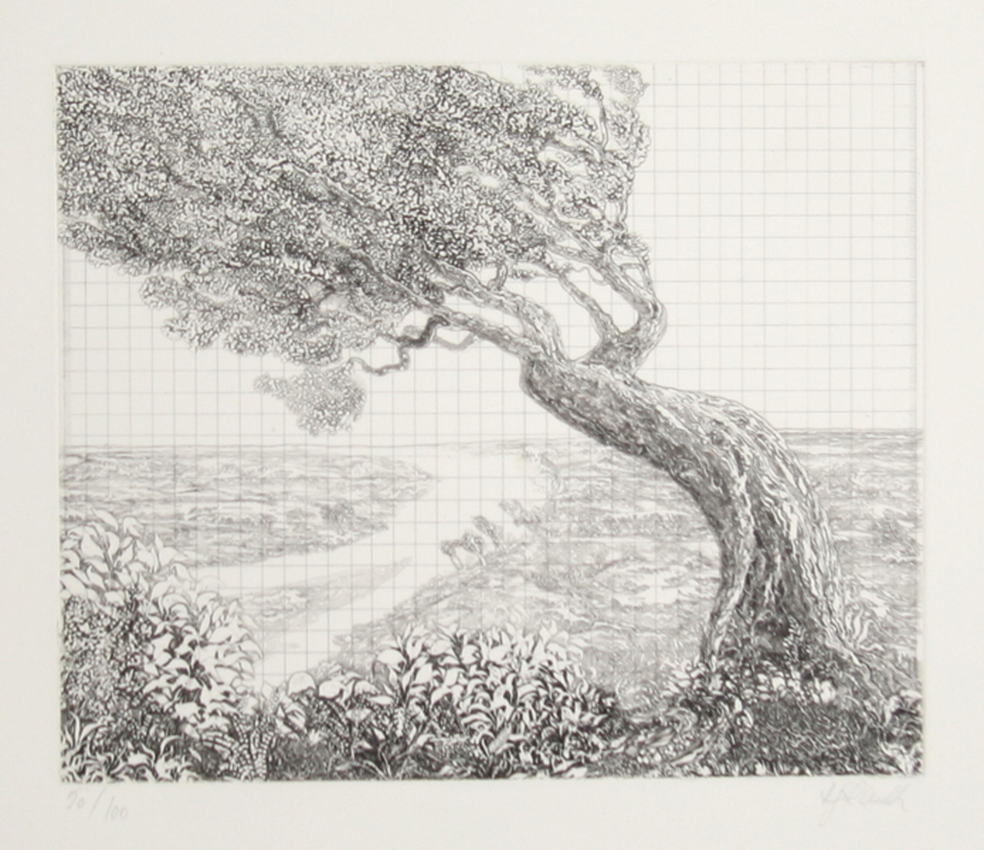 Hans Georg RAUCH Landscape Print - Nieve, Surrealist Aquatint Etching by Hans-Georg Rauch