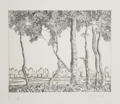 Senza titolo - 55, acquaforte surrealista all'acquatinta di Hans Georg RAUCH
