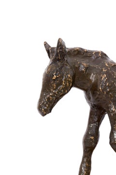 Fohlen (Foal) - Bronze, Sculpture, Animal, Modern, 1970's, Wooden Plinth