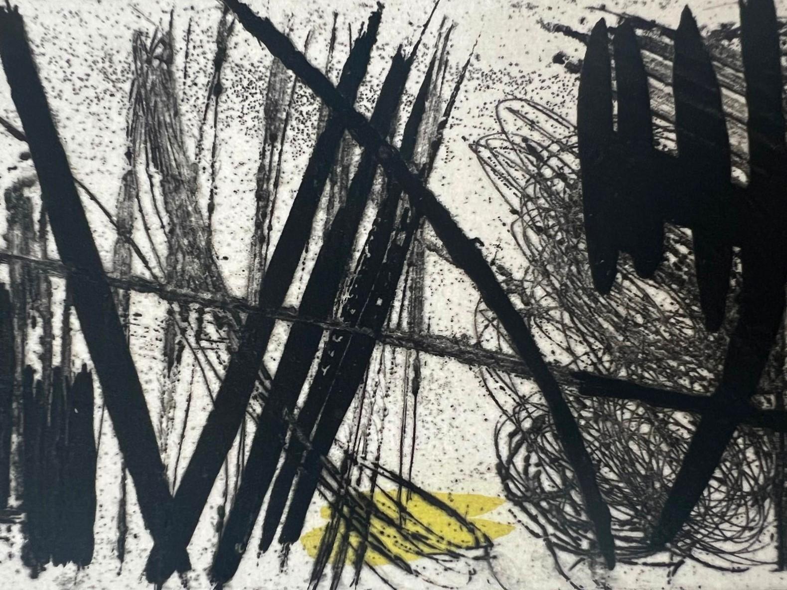 G 4 - Abstract Print by Hans Hartung