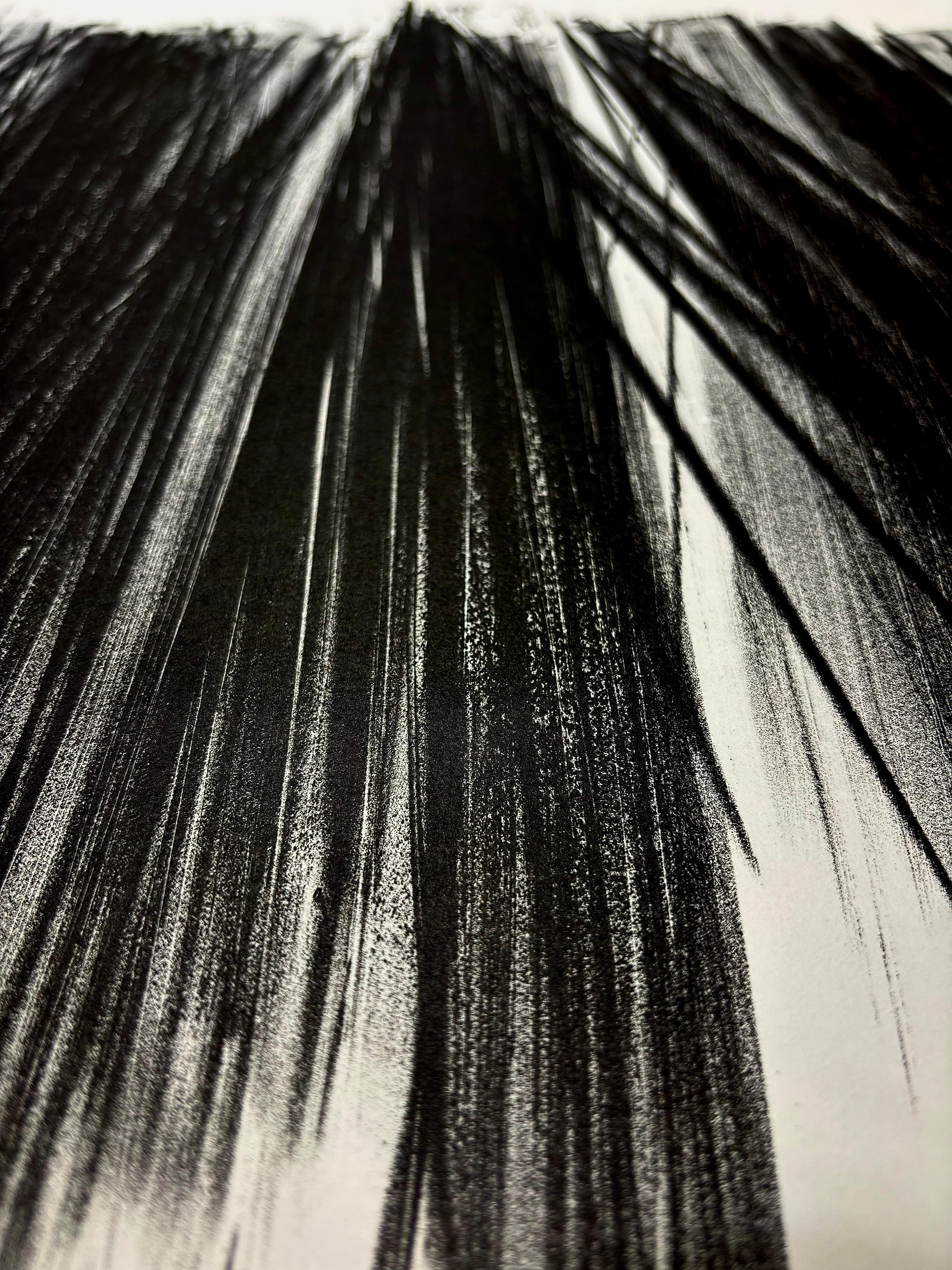 Hans Hartung (1904 - 1989) - L 105 - Litografia su carta Arches - 1963 in vendita 3