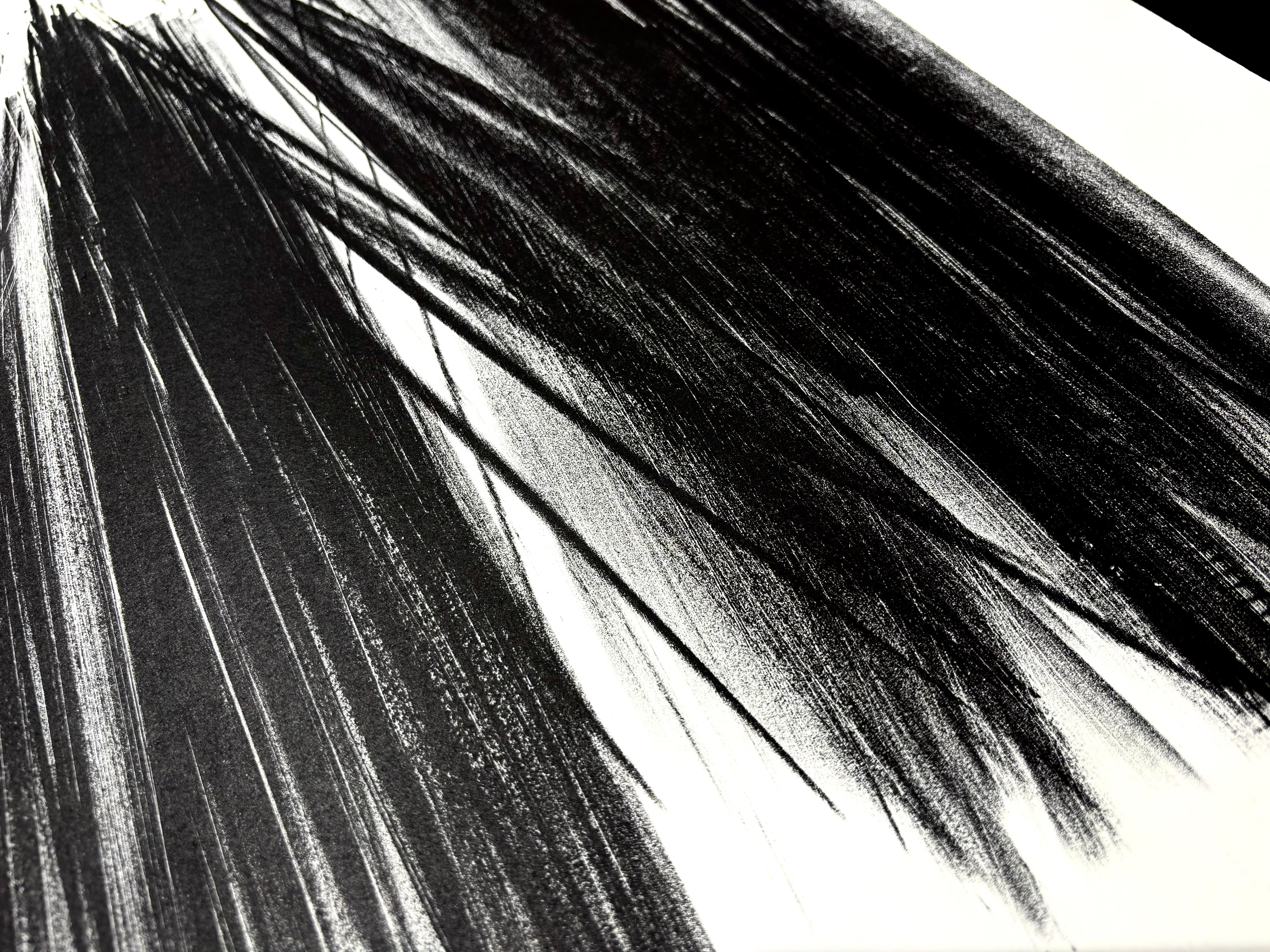 Hans Hartung (1904 - 1989) - L 105 - Litografia su carta Arches - 1963 in vendita 4
