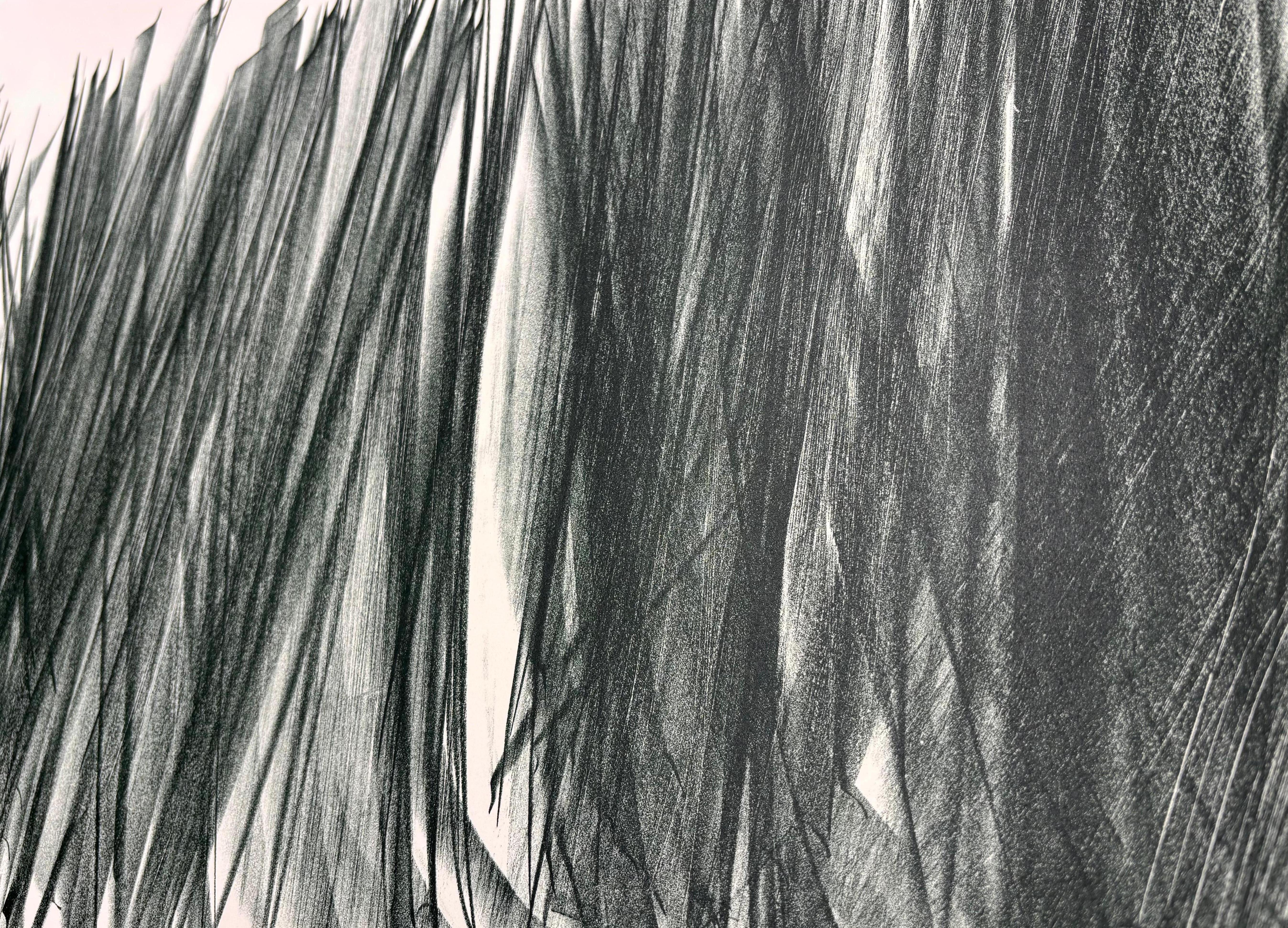 Hans Hartung (1904 - 1989) - L 106 - Litografia su carta BFK Rives - 1963 in vendita 2