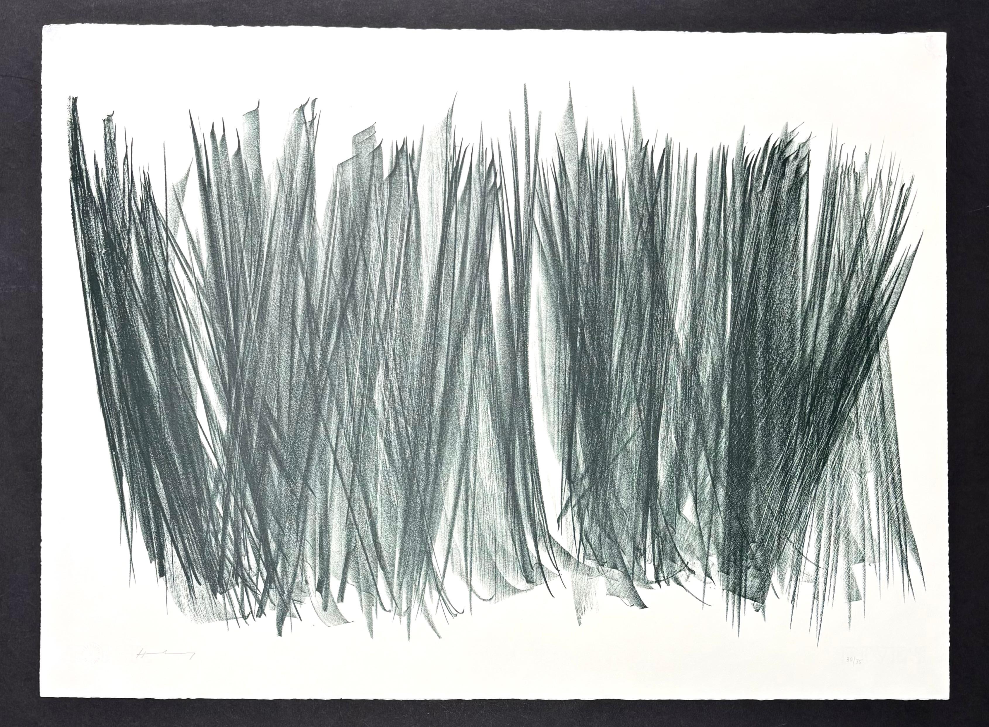 Litografia su carta BFK Rives , edita nel 1963
Edizione limitata di 75 copie, numerate 30/75 in basso a sinistra.
Firmato a mano da Hans Hartung a matita nel margine inferiore destro.
formato carta: 56,5 x 76,3 cm
Stampante: Erker-Presse, San