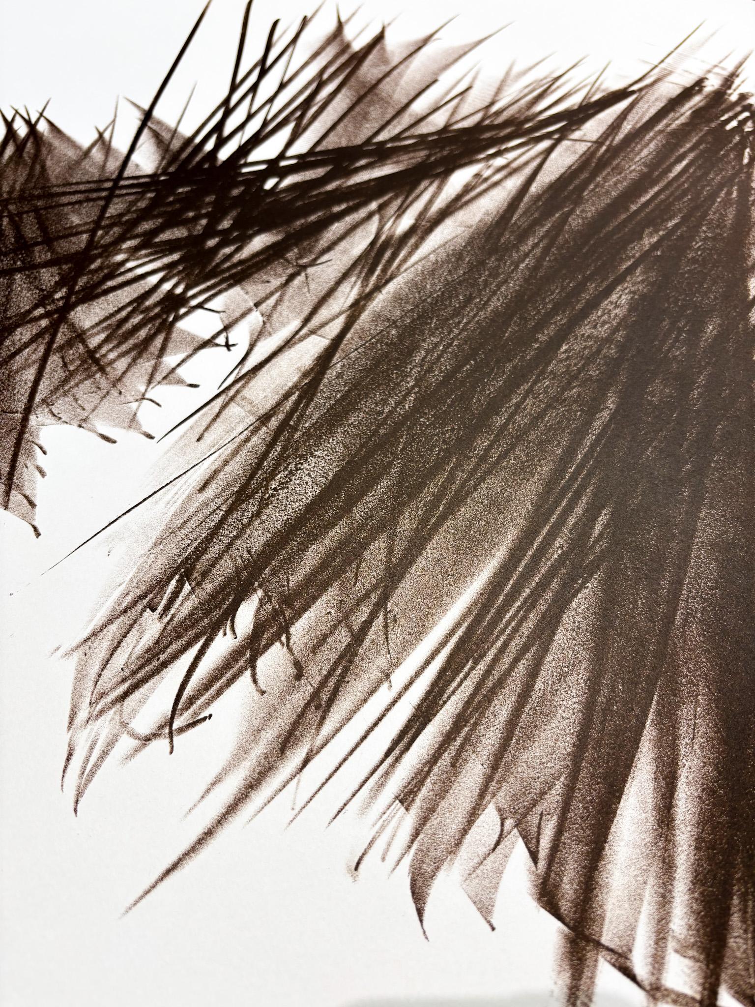 Hans Hartung (1904-1989) - L 115 - Lithographie sur papier vélin BFK Rives - 1964 en vente 2