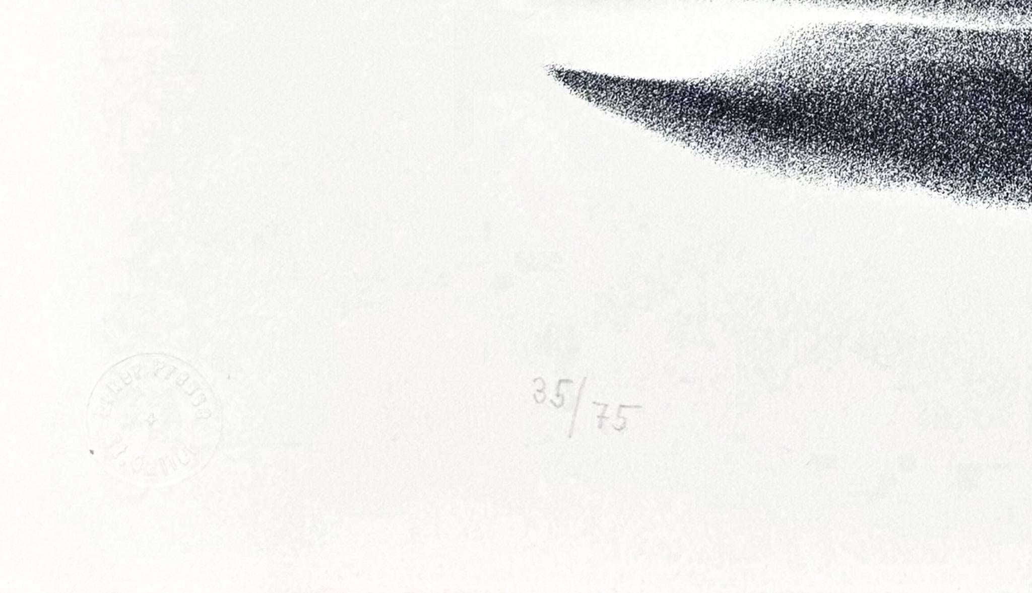 Hans Hartung (1904-1989) - L 121 - Lithographie auf BFK Rives Vellum Papier - 1964 im Angebot 4